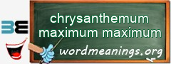 WordMeaning blackboard for chrysanthemum maximum maximum